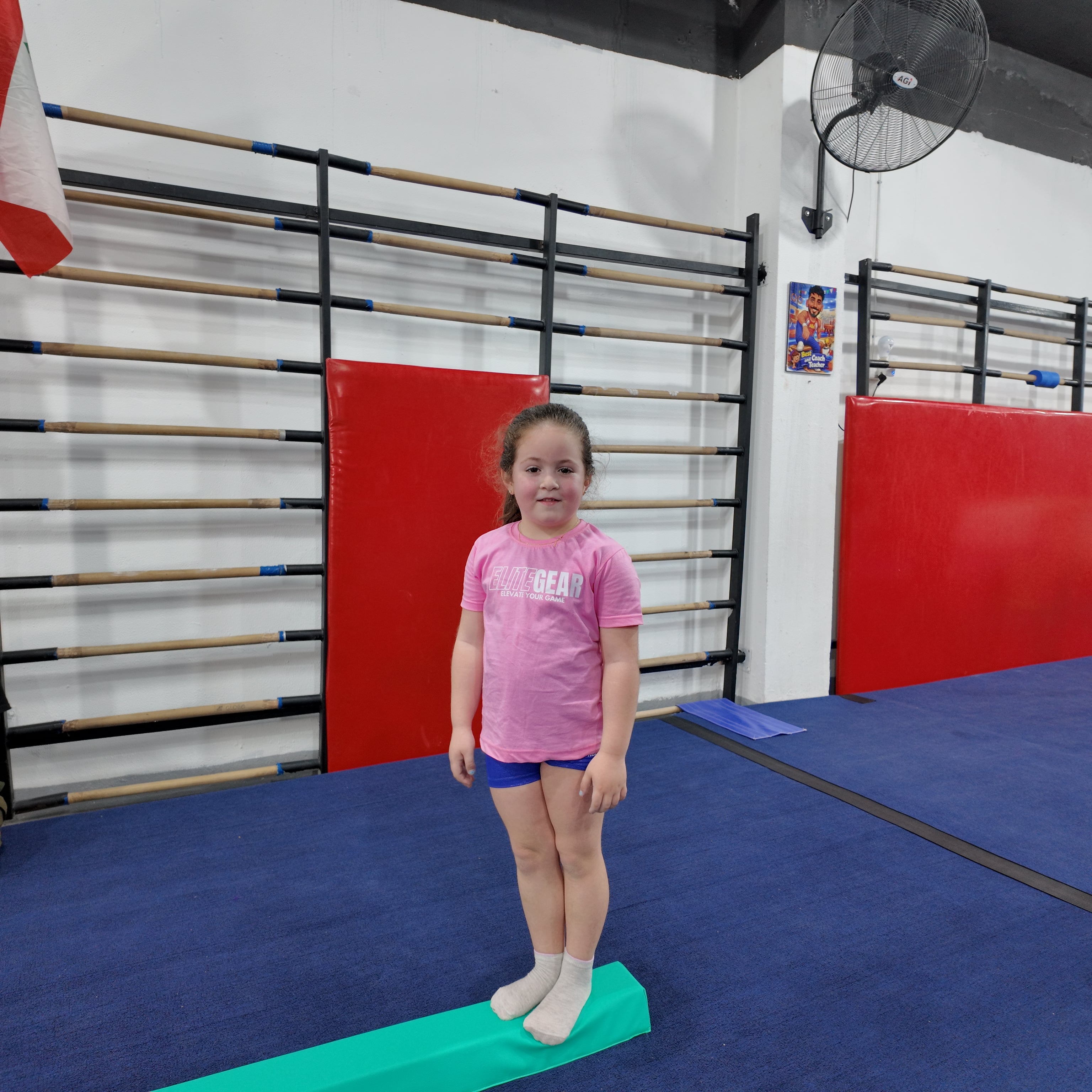 EliteGear™ Kids Balance Beam