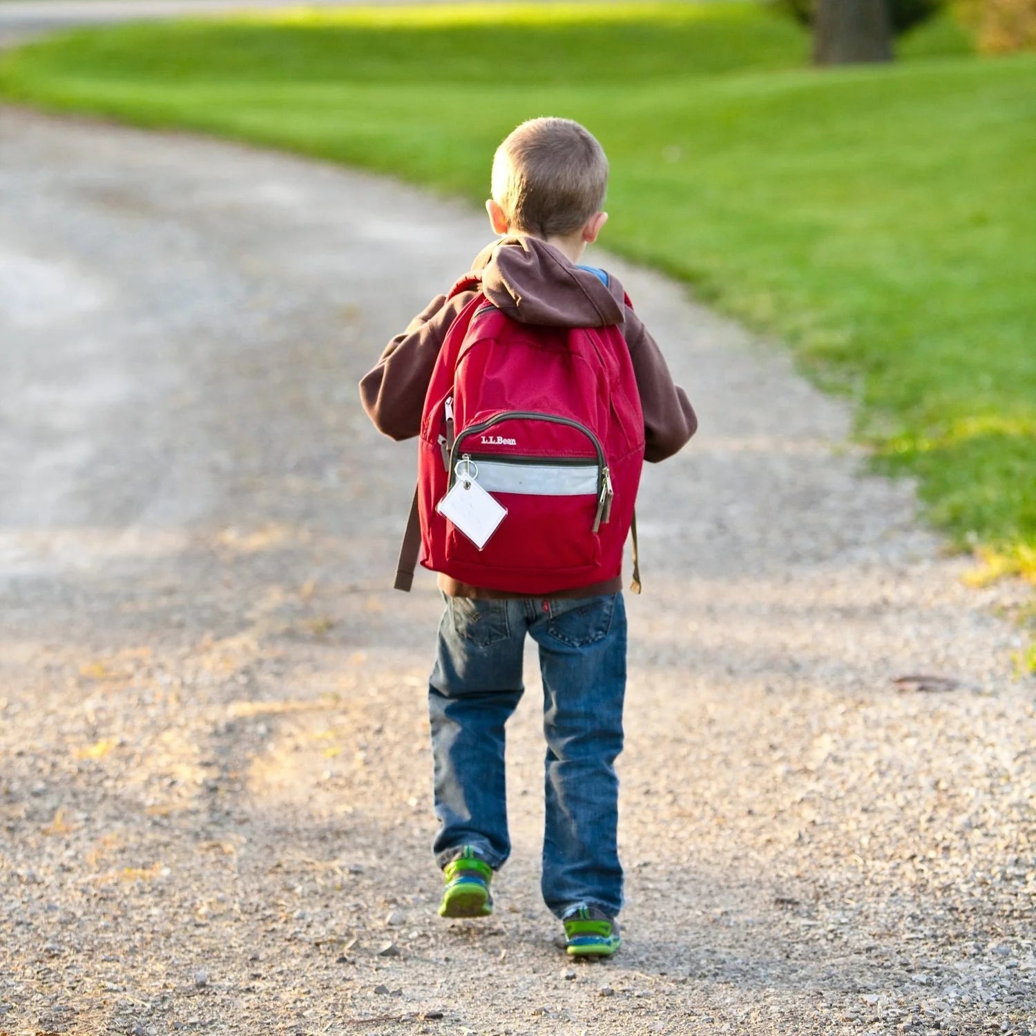 School Bags