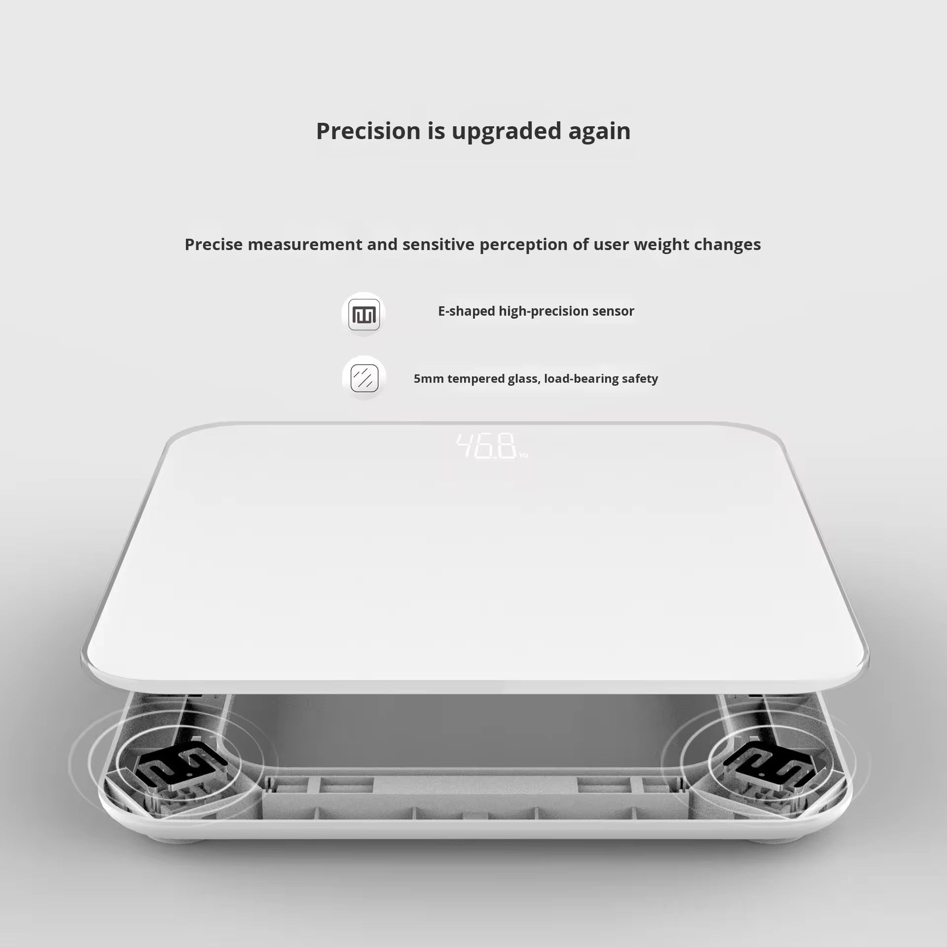 Digital Body Scale